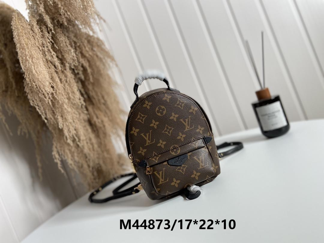 LV PALM SPRINGS MINI